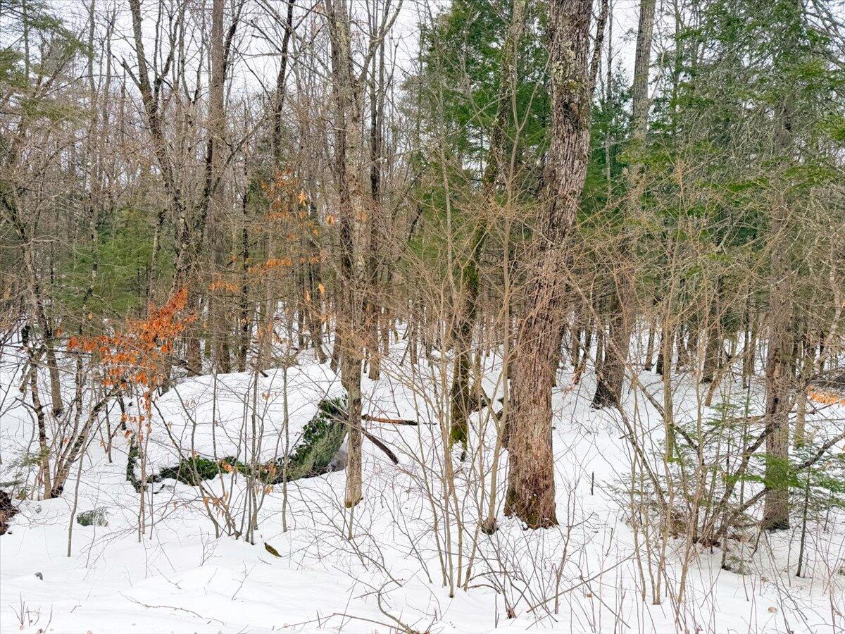 M10-l35 Plains Road Poland, ME 04274 - Photo 5 of 18 Poland Maine