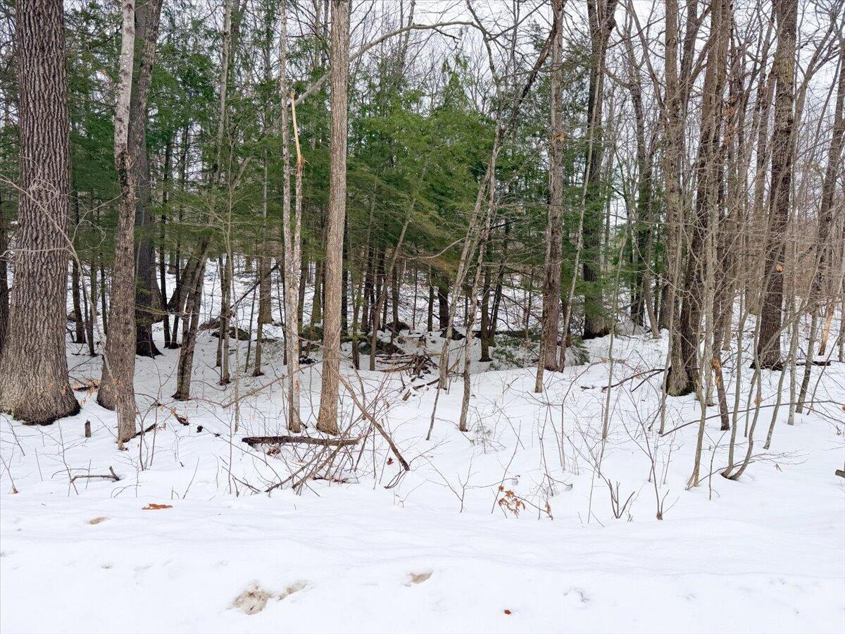 M10-l35 Plains Road Poland, ME 04274 - Photo 7 of 18 Poland Maine