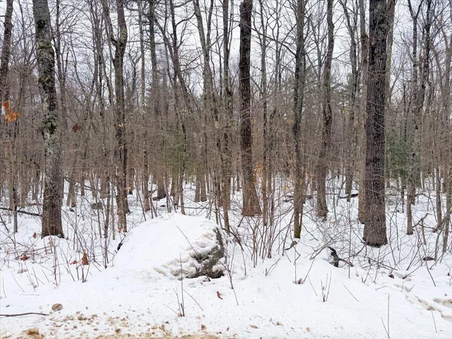 $87,900 | M10-l35 Plains Road, Poland, ME 04274