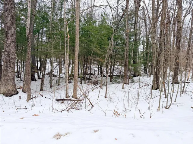 $87,900 | M10-l35 Plains Road, Poland, ME 04274