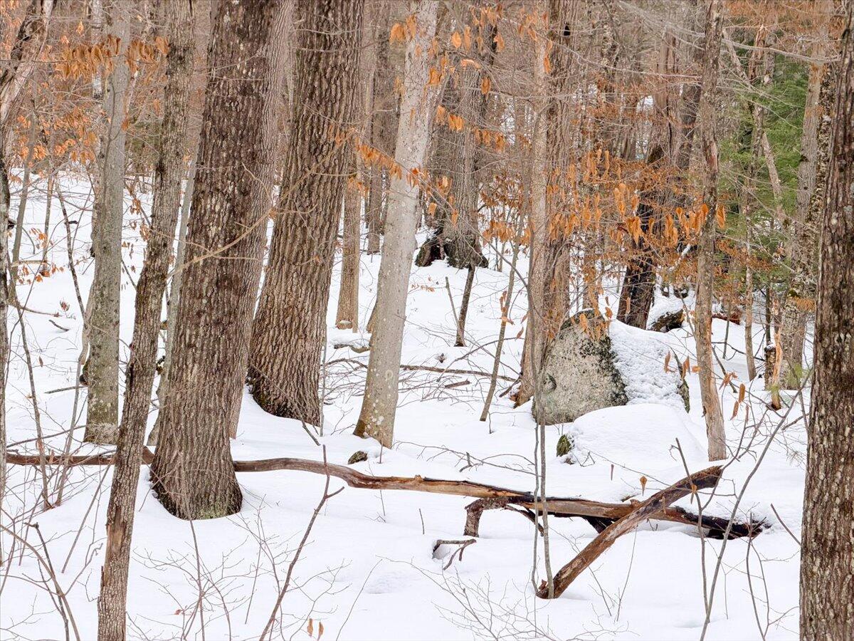 M10-l35 Plains Road Poland, ME 04274 - Photo 9 of 18 Poland Maine