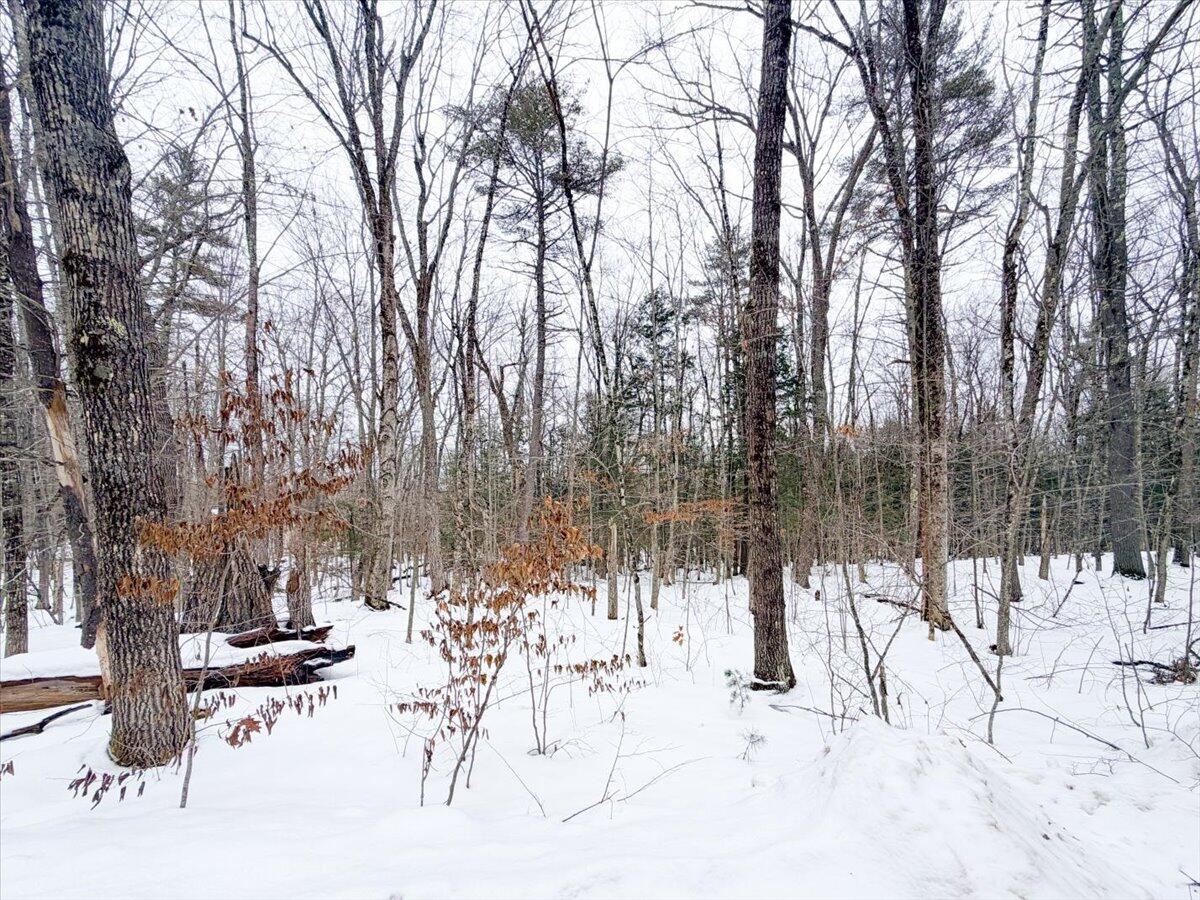 M10-l35 Plains Road Poland, ME 04274 - Photo 10 of 18 Poland Maine