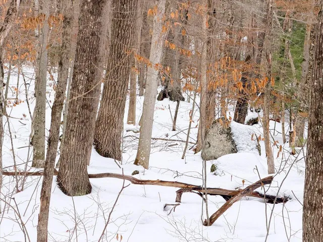 $87,900 | M10-l35 Plains Road, Poland, ME 04274