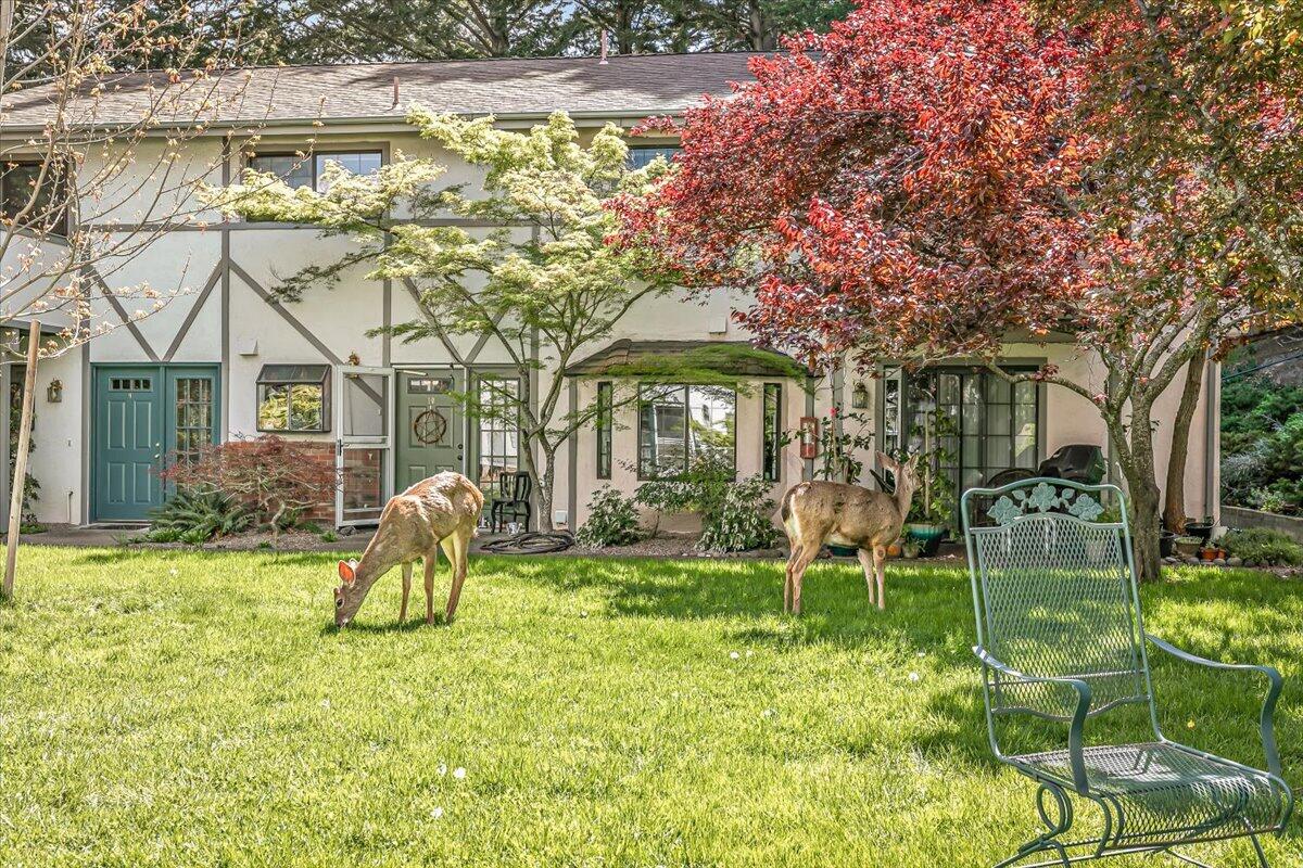 495 Chestnut Street, Unit 16 Ashland, OR 97520 - Photo 2 of 28 08-8