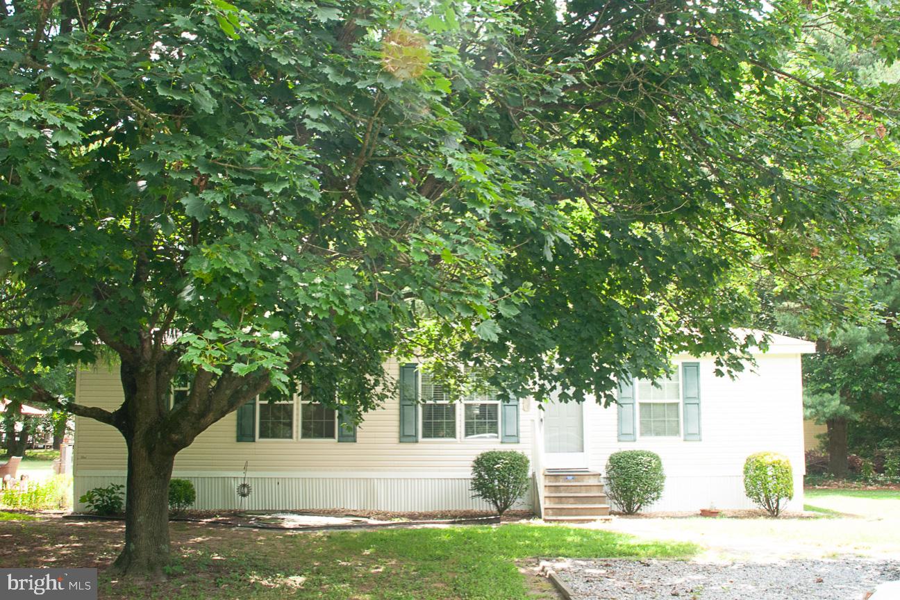 7899 Dublin Road Salisbury, MD 21801 - Photo 2 of 22 Large shade trees