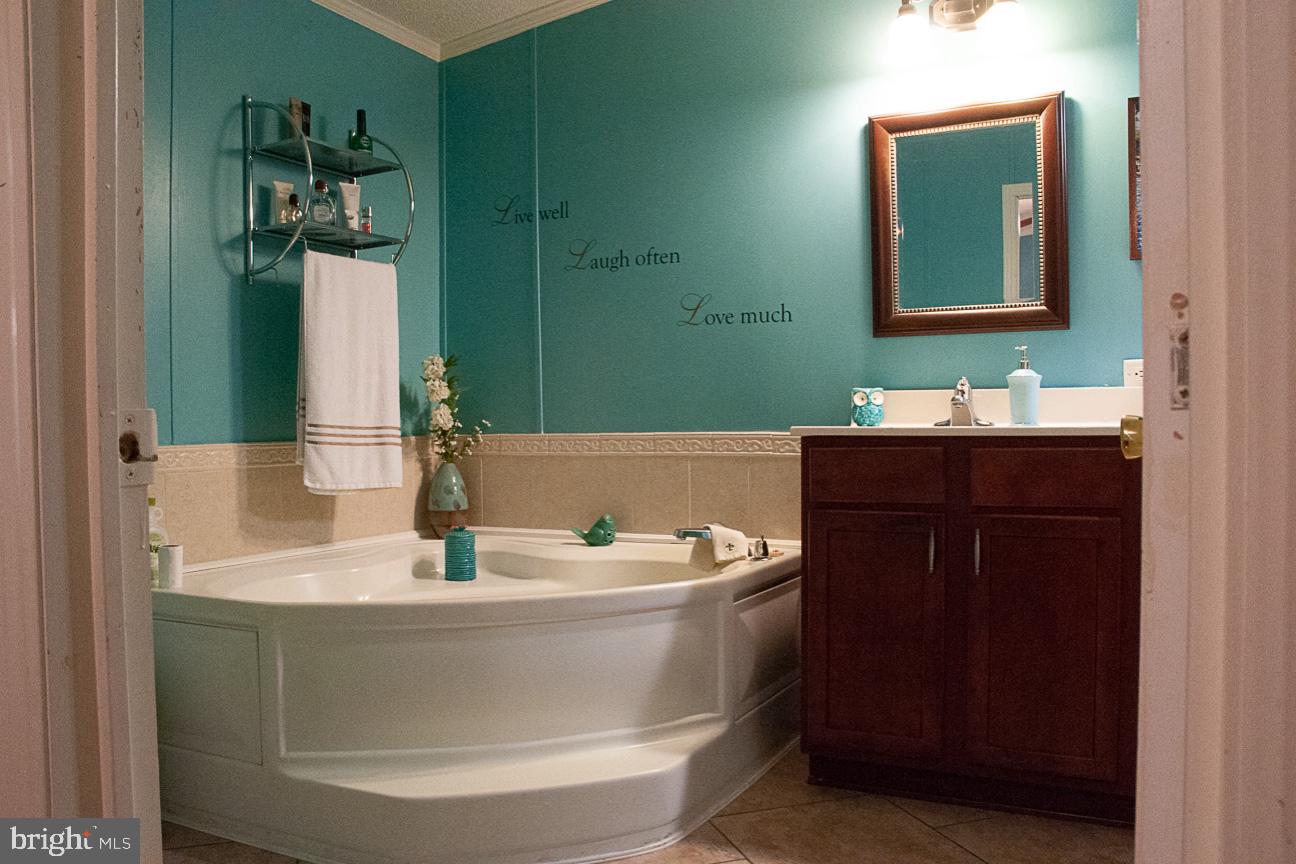 7899 Dublin Road Salisbury, MD 21801 - Photo 11 of 22 Master Bath soaking tub
