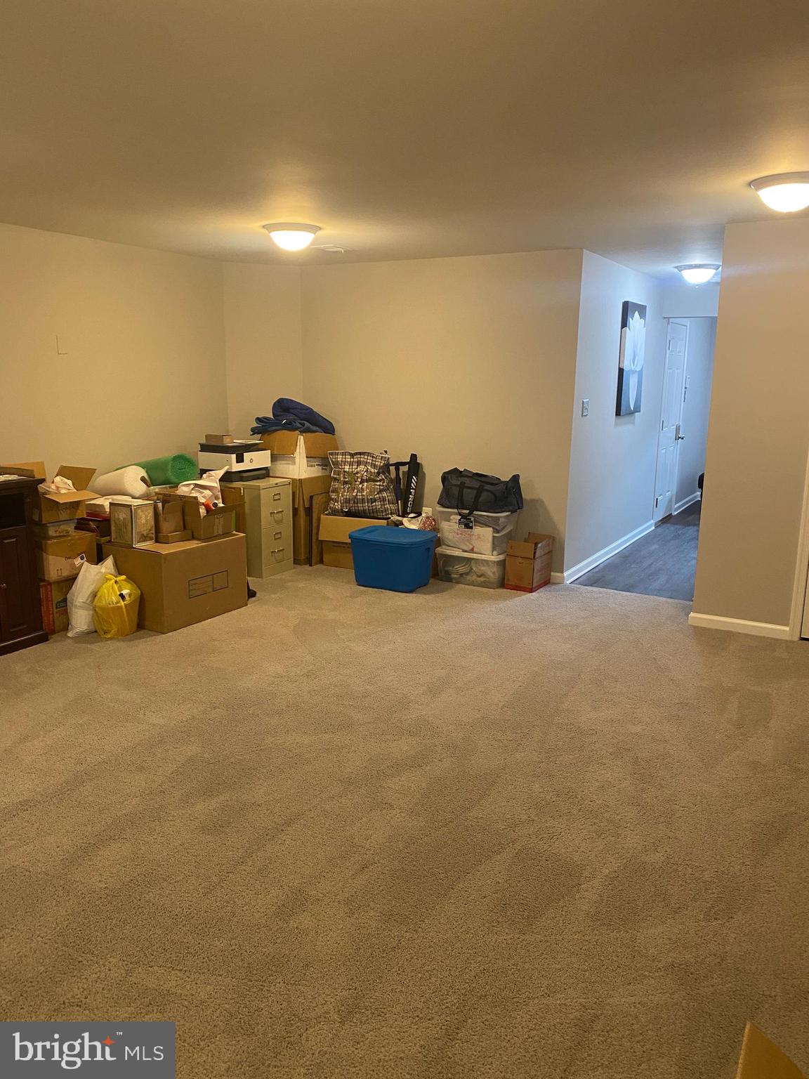 22 Gauley River Path Falling Waters, WV 25419 - Photo 7 of 30 rec/bonus room