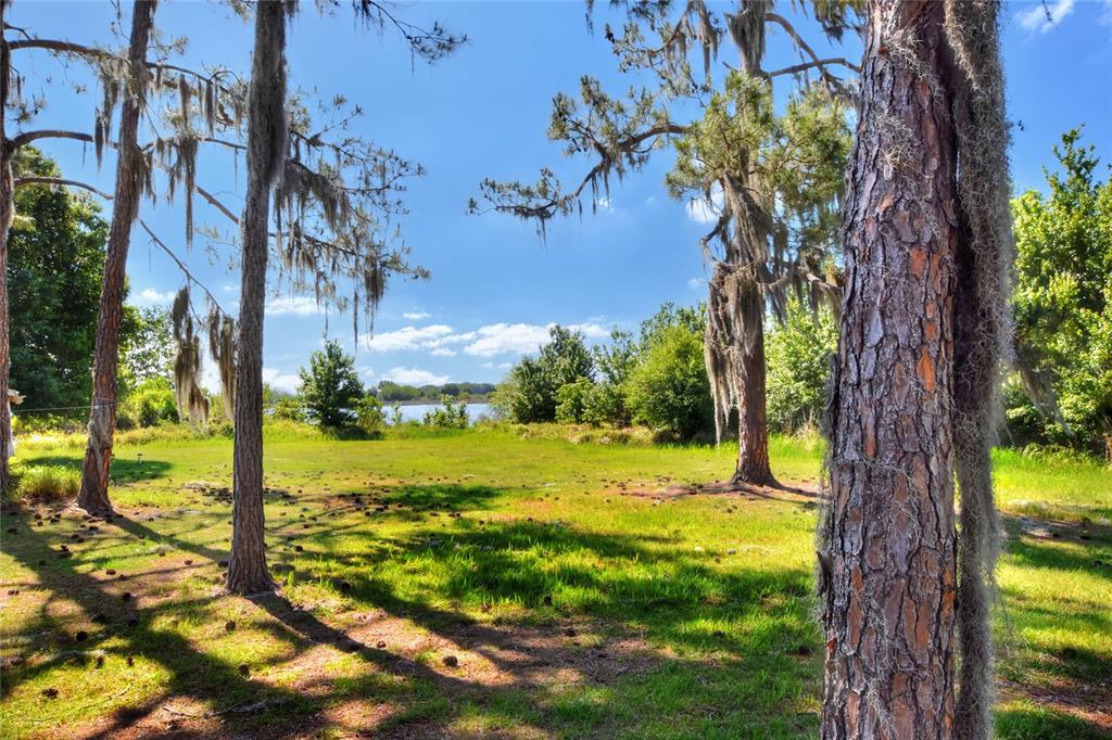 0 Lake Buffum Road West Fort Meade, FL 33841 - Photo 2 of 11