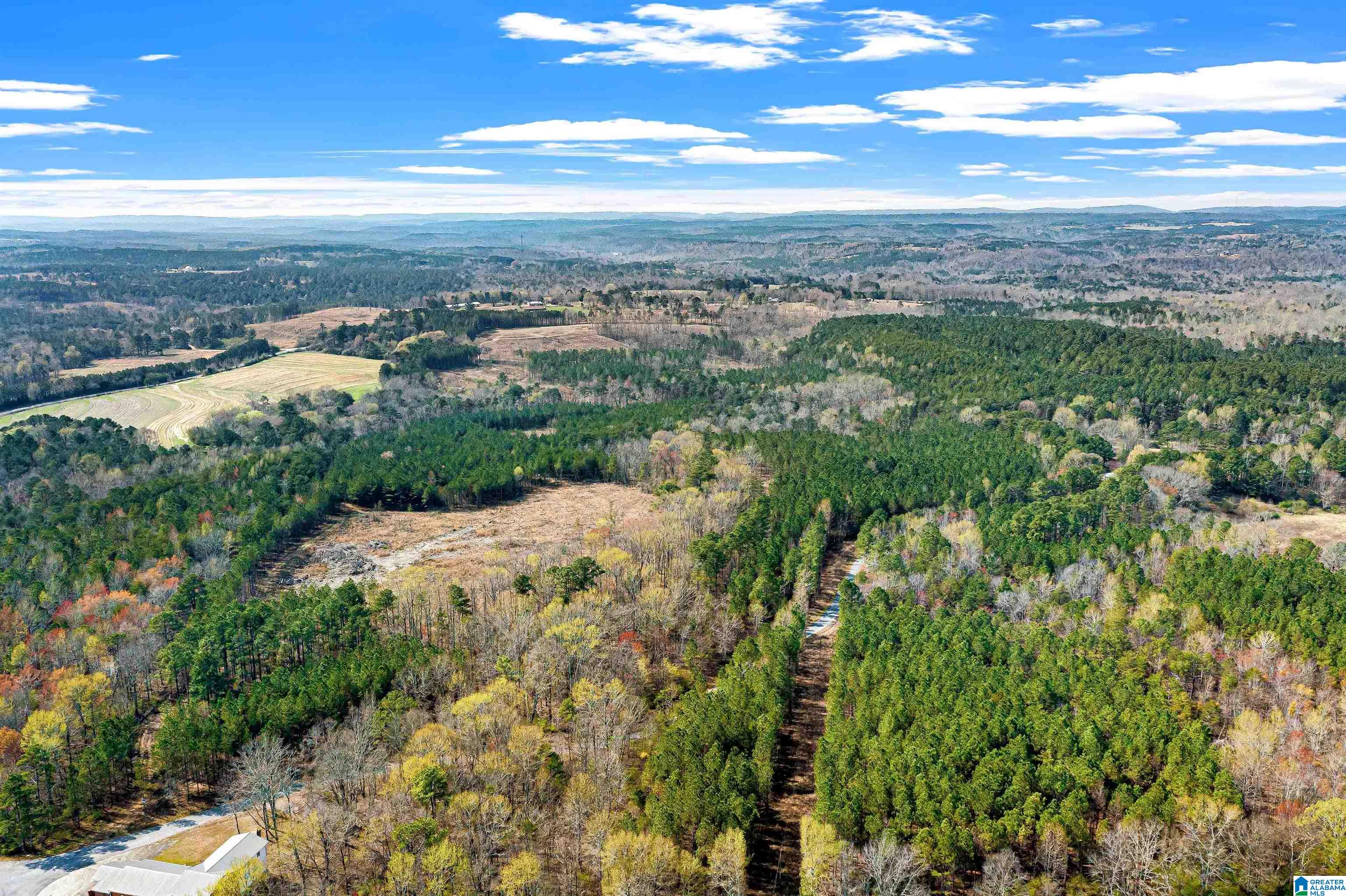 0 Frost Road, Unit 100 / ACRES Springville, AL 35146 - Photo 40 of 60