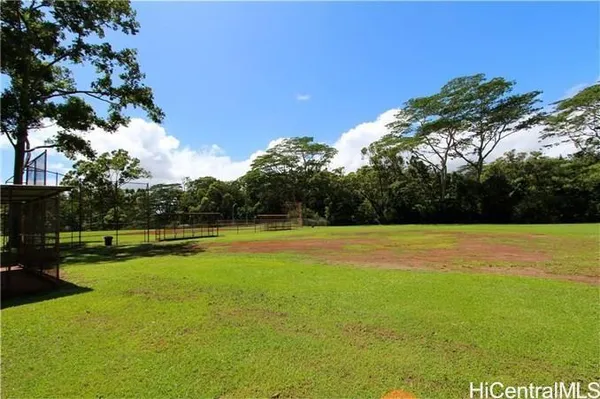 a view of a garden with a slide