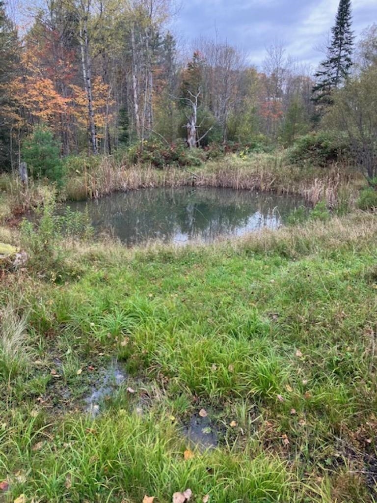 148 East Main Street Lunenburg, VT 05906 - Photo 7 of 13
