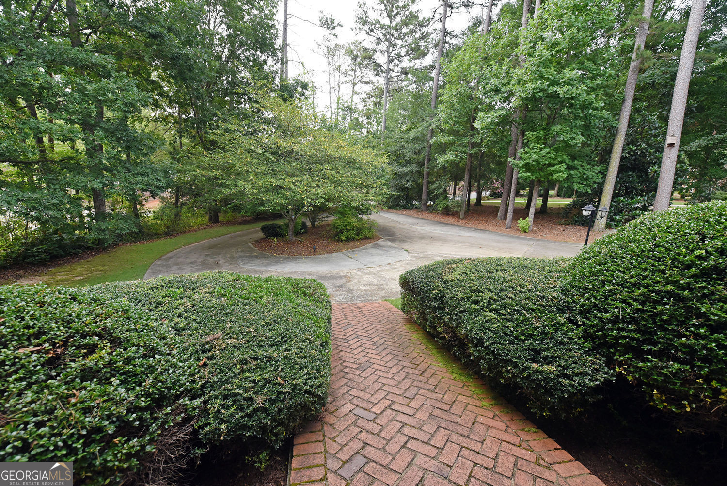 919 Deer Chase Toccoa, GA 30577 - Photo 6 of 62 a view of a park with large trees