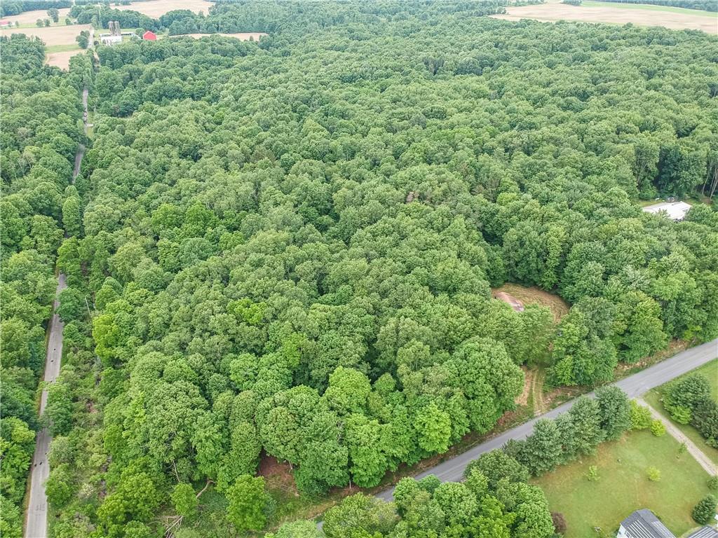 365 Klein Road Sandy Lake, PA 16145 - Photo 8 of 10