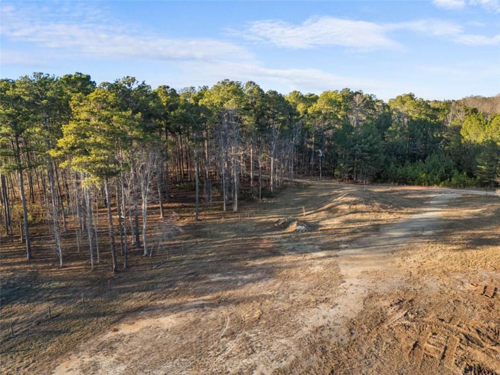 0 North Bethany Road McDonough, GA 30252 - Photo 9 of 11