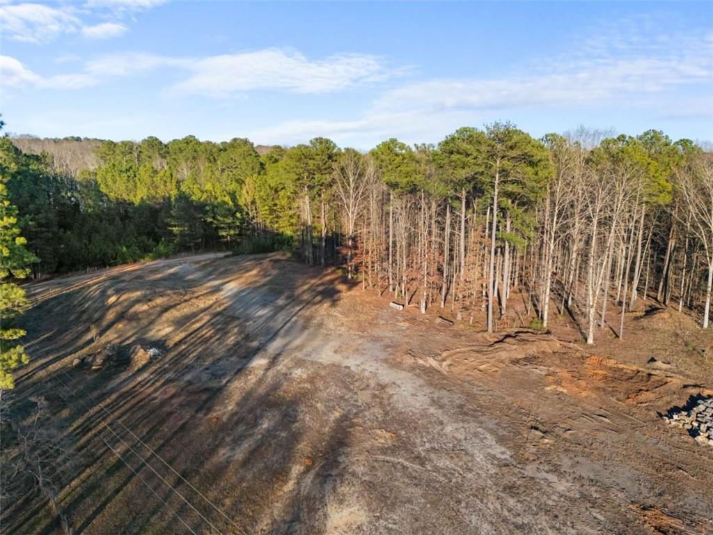 0 North Bethany Road McDonough, GA 30252 - Photo 10 of 11