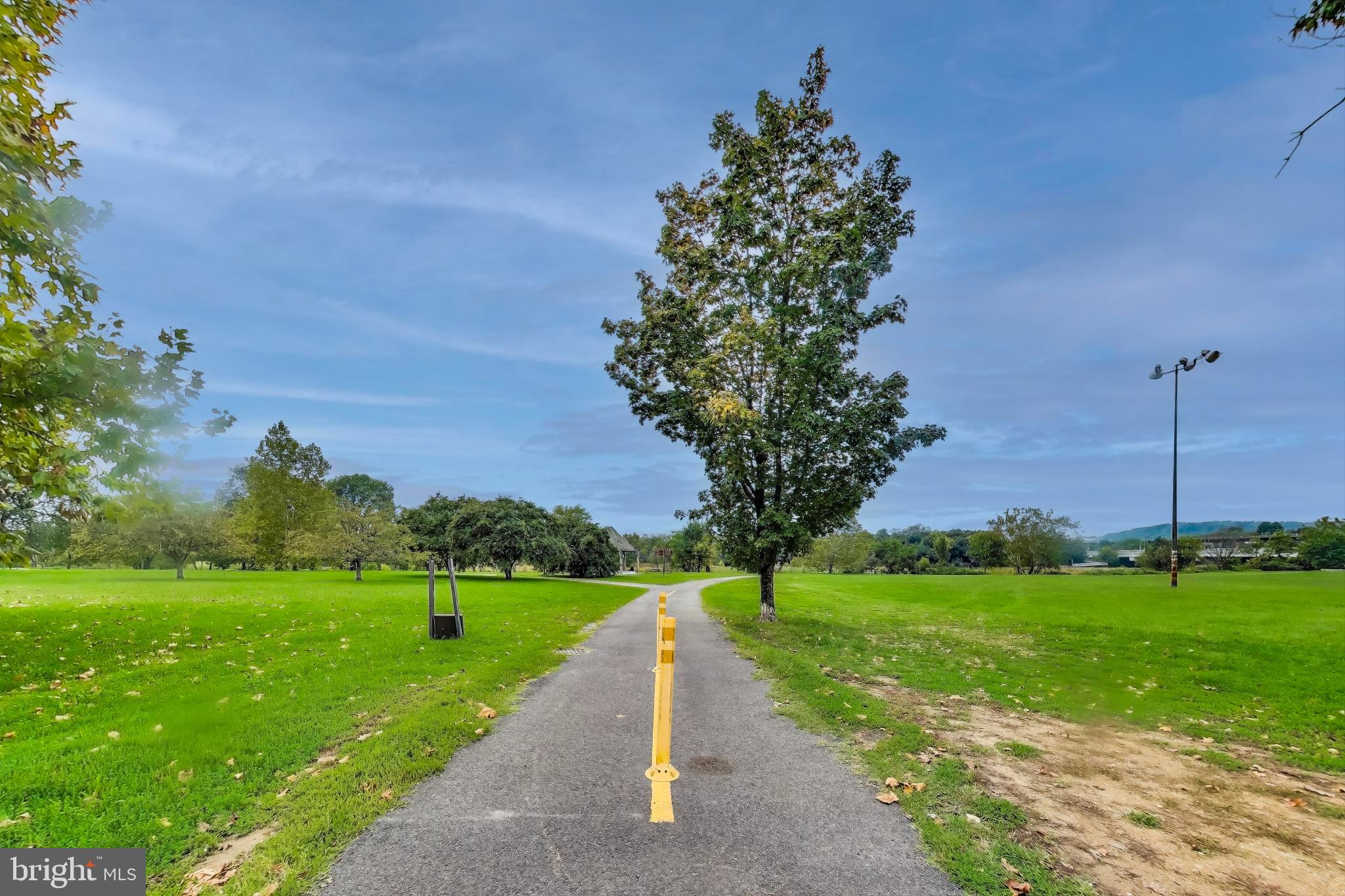 3357 Clay Place Northeast Washington, DC 20019 - Photo 15 of 16 a view of a park with large trees