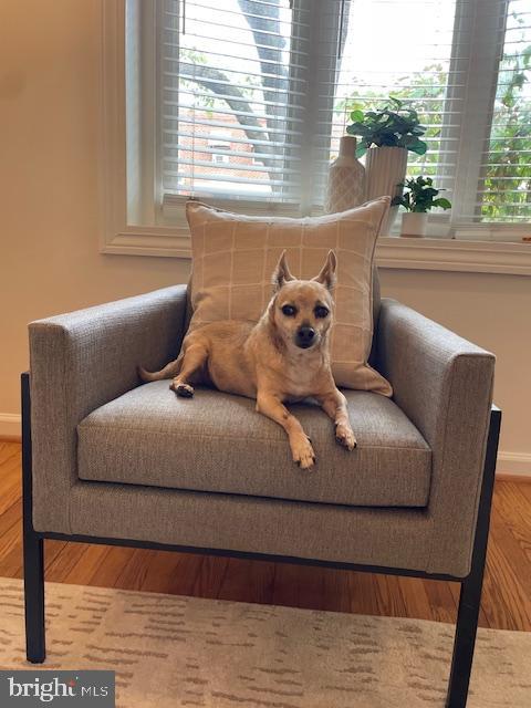 3357 Clay Place Northeast Washington, DC 20019 - Photo 16 of 16 a living room with furniture and window
