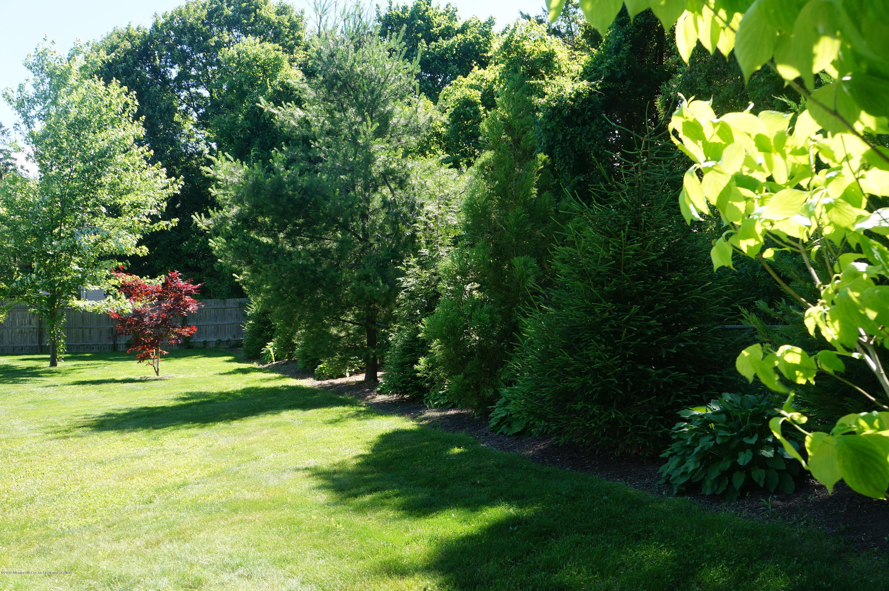 646 Thiele Road Brick, NJ 08724 - Photo 49 of 54 DSC01175