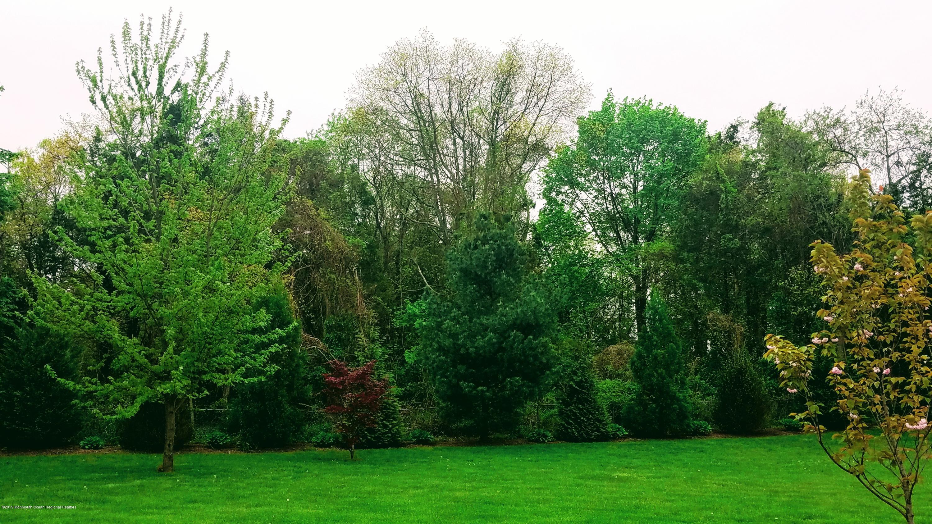 646 Thiele Road Brick, NJ 08724 - Photo 52 of 54 20190501_142647