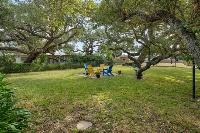 a view of a park with large trees