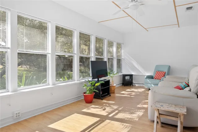a living room with furniture and a potted plant