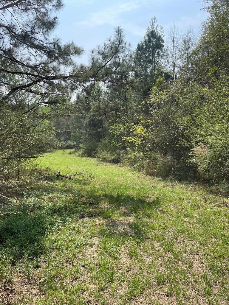 0 Hoadley Road Poplarville, MS 39470 - Photo 1 of 1 Gallery Image 1