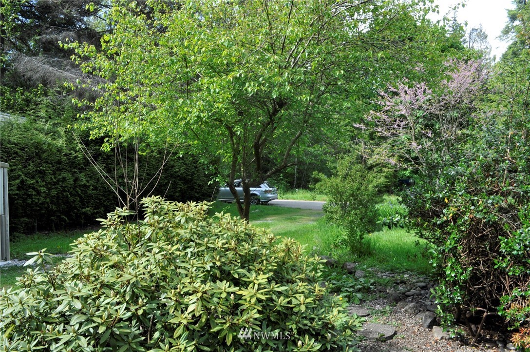 2133 Culp Court Point Roberts, WA 98281 - Photo 4 of 22