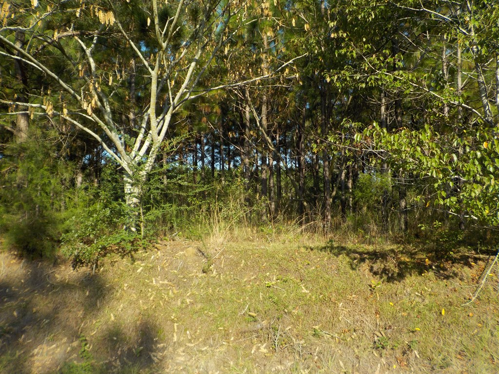 18/ Cty Road Headland, AL 36345 - Photo 7 of 22