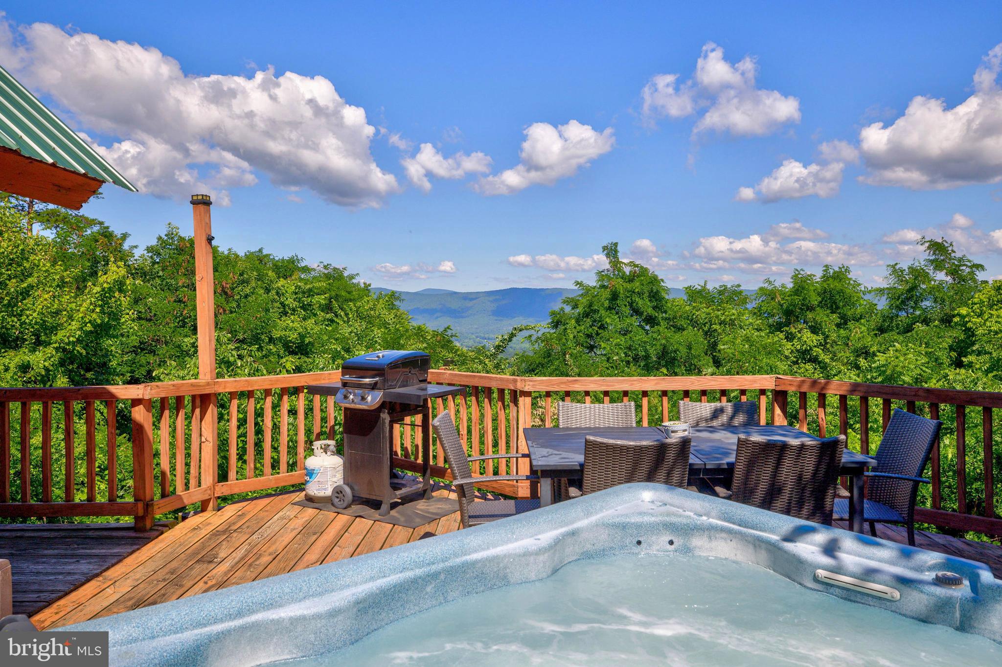 707 Overlook Drive Rileyville, VA 22650 - Photo 64 of 94