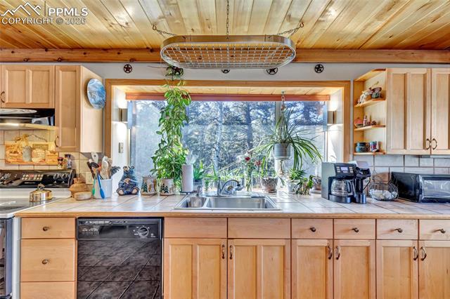 191 Nuaku Road Florissant, CO 80816 - Photo 11 of 48 Gallery Image 11