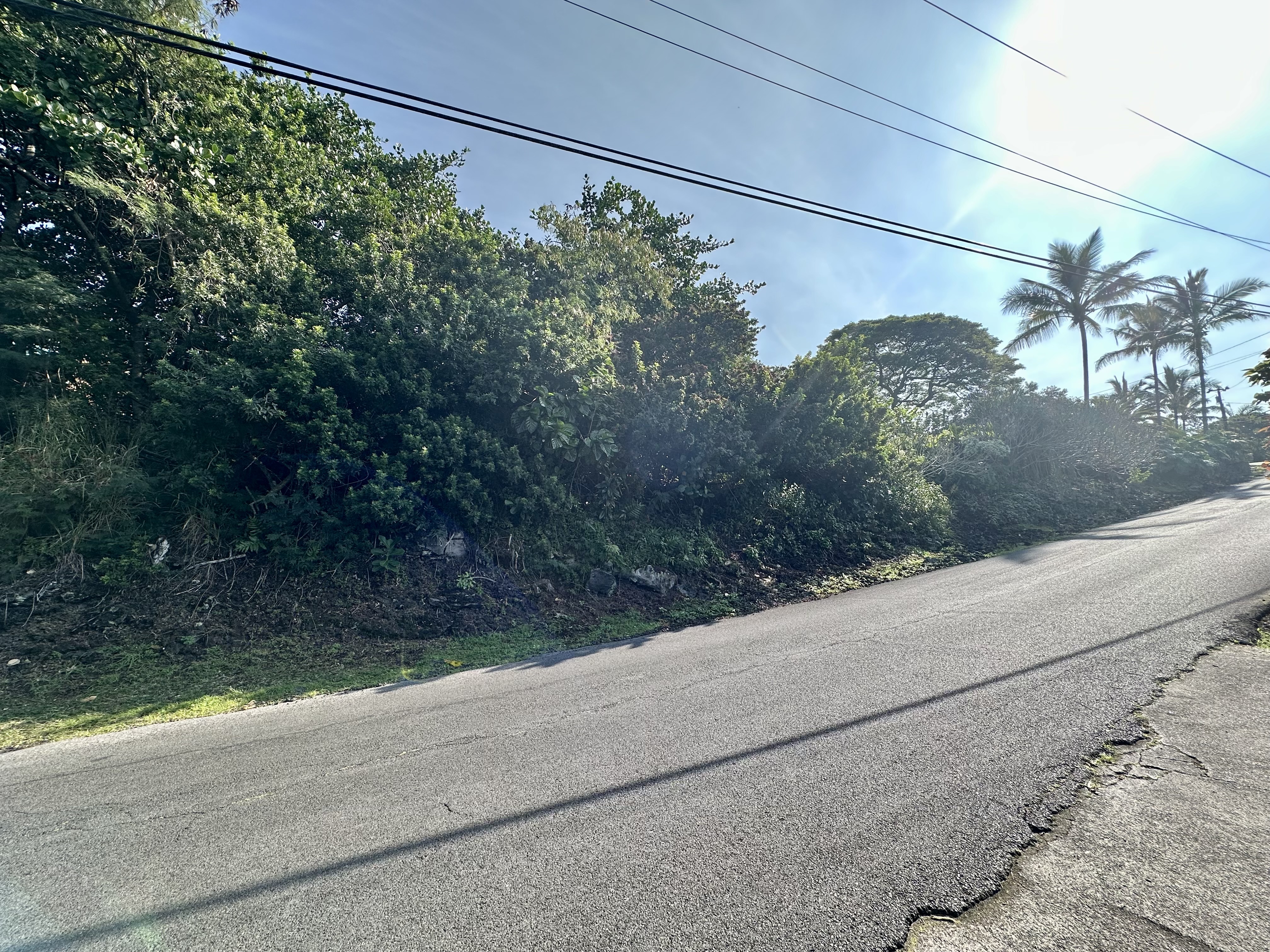 12 Kaohe Road Captain Cook, HI 96704 - Photo 5 of 12 a view of a yard along a street