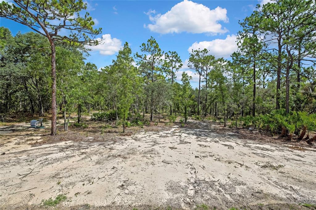 5611 West Rochelle Street Homosassa, FL 34446 - Photo 40 of 56
