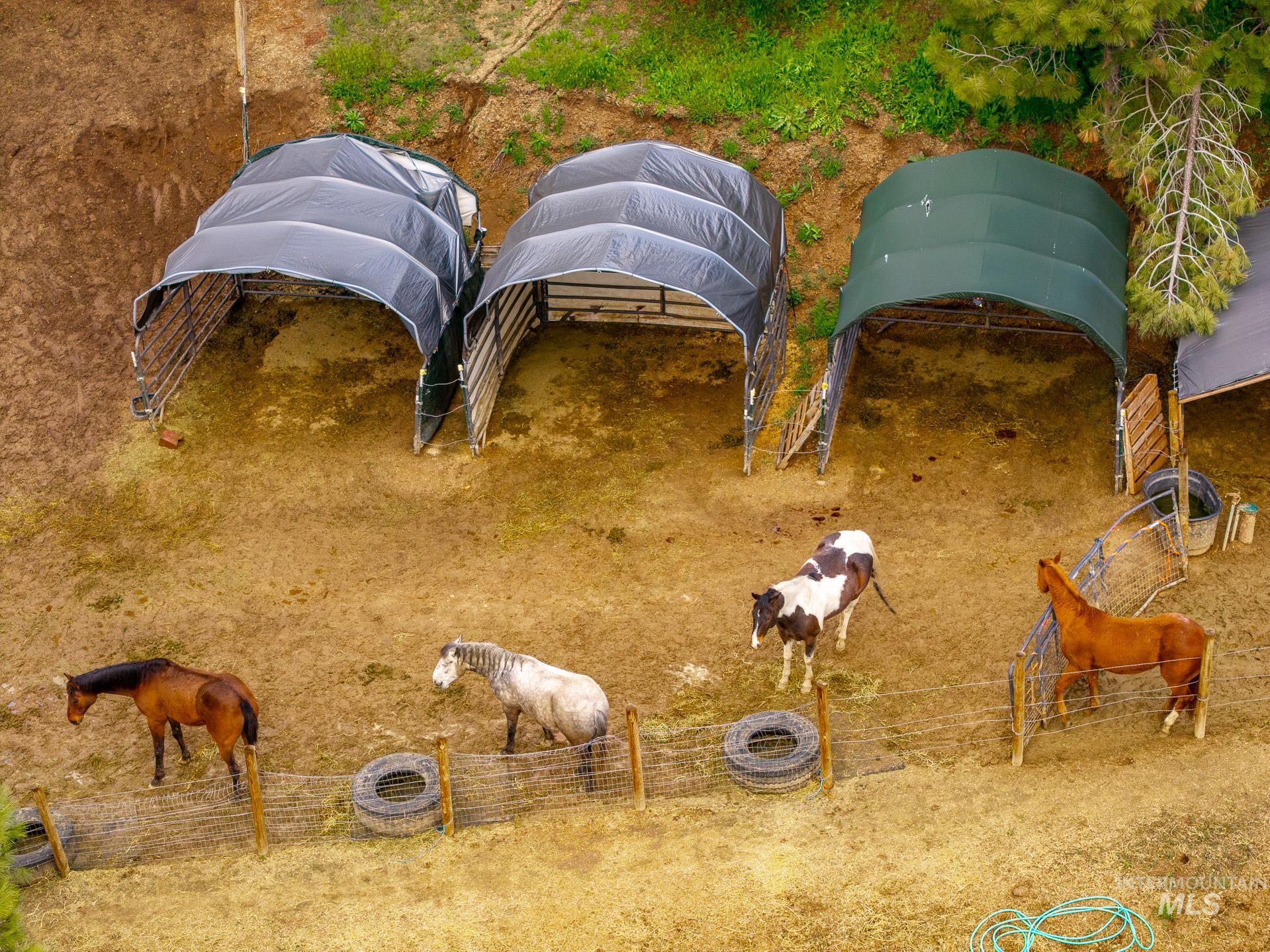 4 Round Up Circle Boise, ID 83716 - Photo 6 of 47 Equine property featuring three covered shelters, wire fencing, and a natural terrain paddock