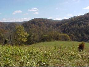 483 Kyle Valley Road Eidson, TN 37731 - Photo 1 of 5 Photo 1