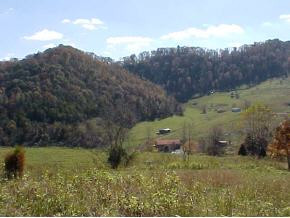483 Kyle Valley Road Eidson, TN 37731 - Photo 3 of 5 Photo 3