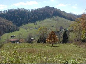 483 Kyle Valley Road Eidson, TN 37731 - Photo 4 of 5 Photo 4