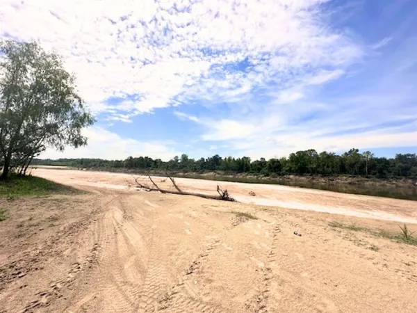 a view of a lake from a yard