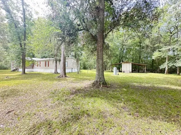 a view of a tree in front of a house