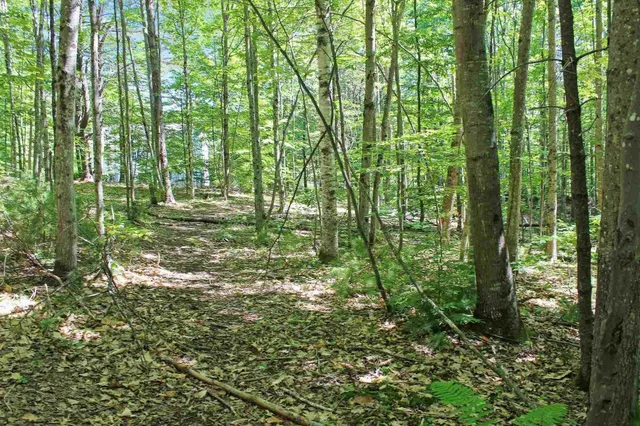 $35,000 | 4 John Terrace, Ossipee, NH 03864