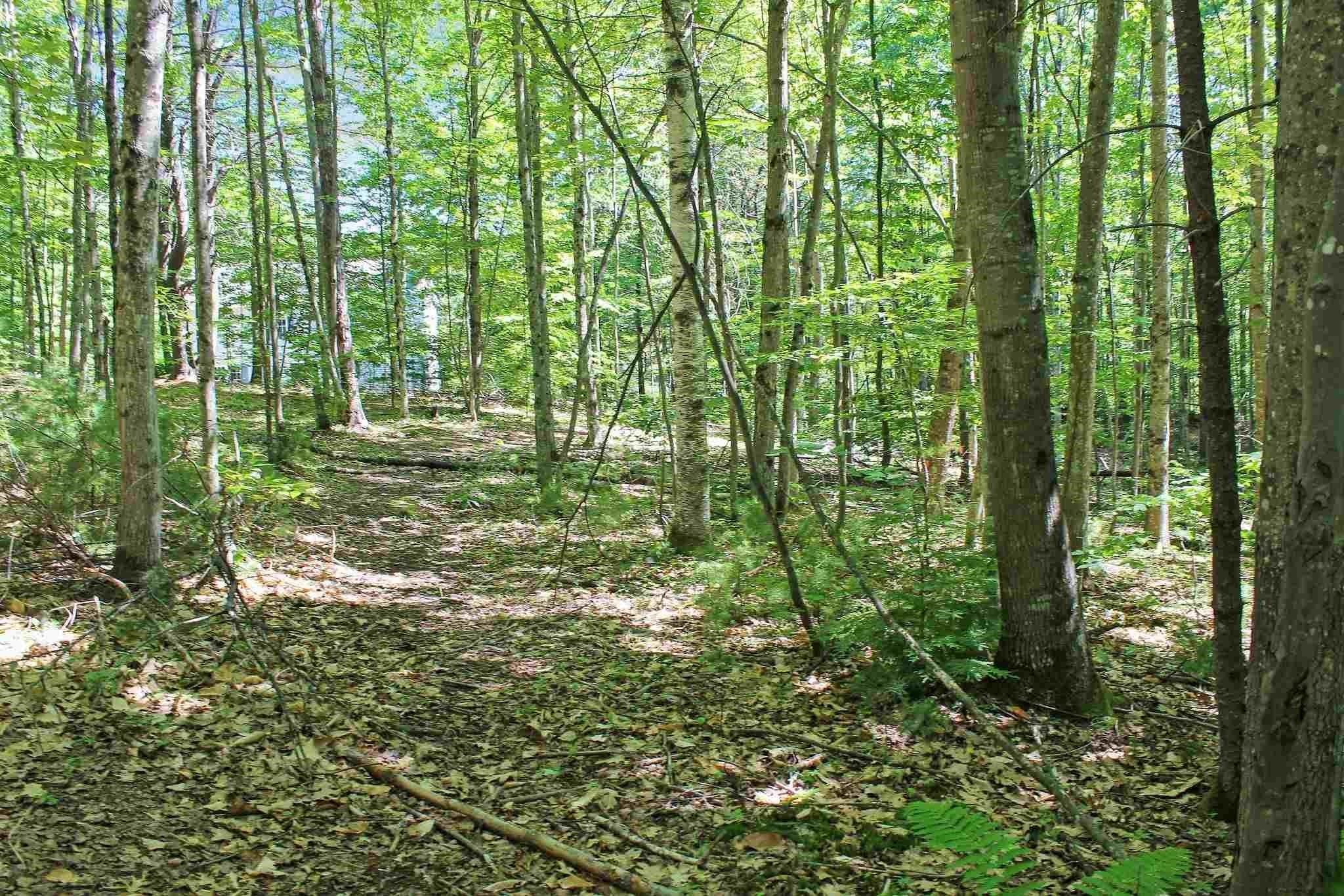 4 John Terrace Ossipee, NH 03864 - Photo 2 of 4