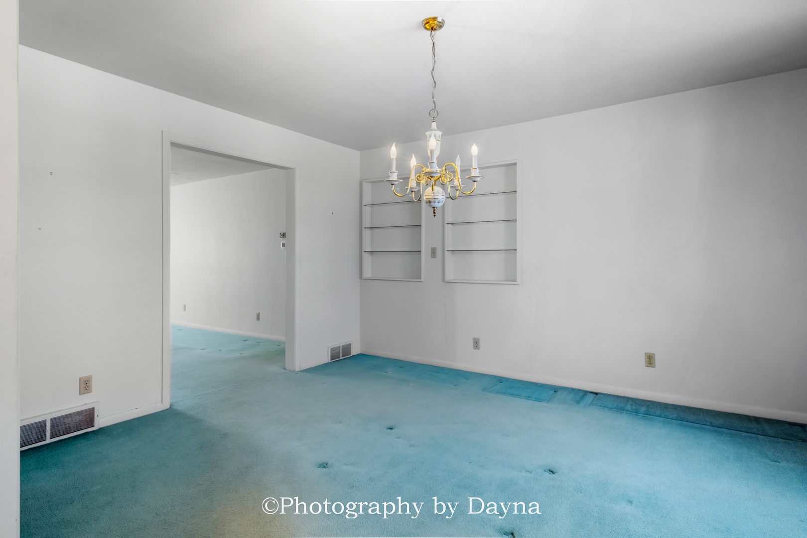 995 Justine Drive Kankakee, IL 60901 - Photo 10 of 40