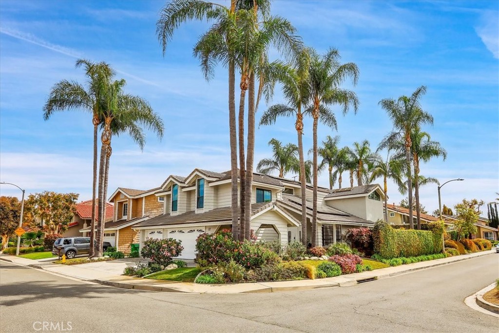 a front view of multiple houses with palm trees