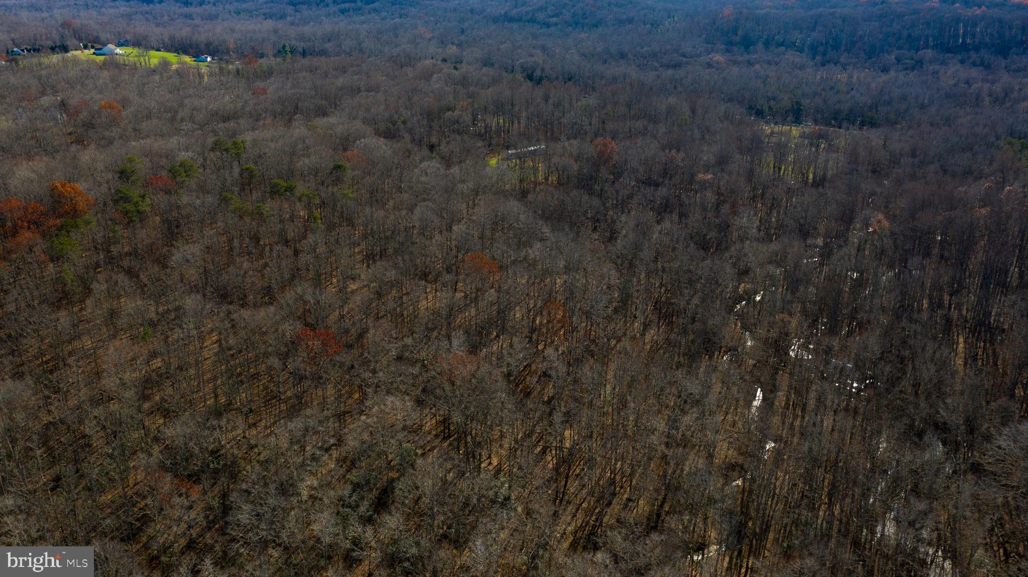 Brooke Road Stafford, VA 22554 - Photo 7 of 16