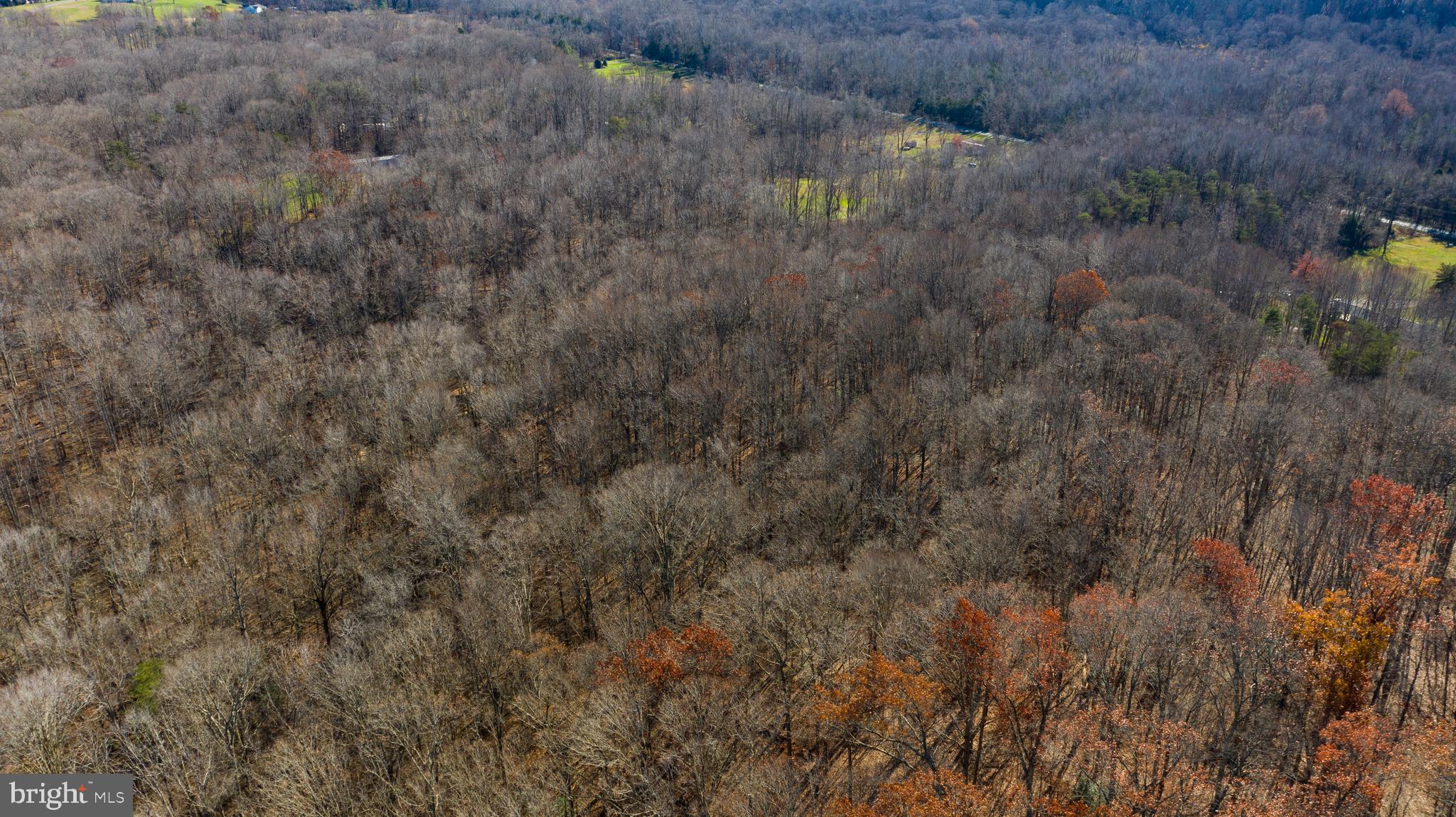 Brooke Road Stafford, VA 22554 - Photo 8 of 16