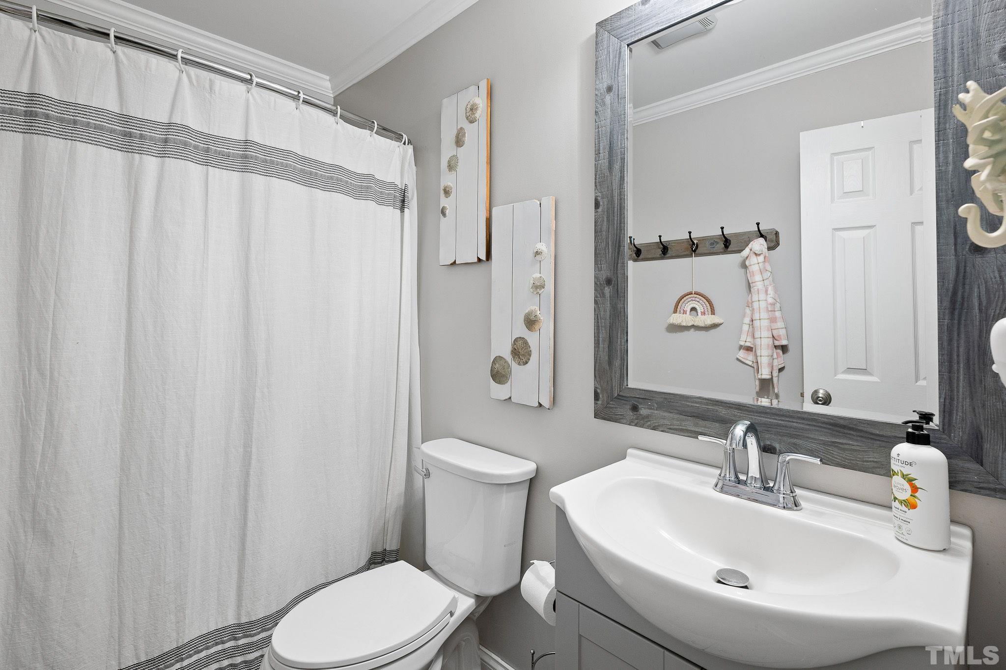 7405 Buckingham Mountain Road Snow Camp, NC 27349 - Photo 16 of 26 a bathroom with a sink a toilet and shower curtain