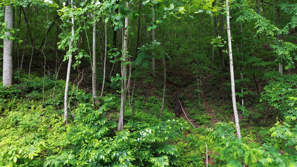 115 Calvender Road Turtletown, TN 37391 - Photo 6 of 23