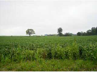 9027 Lake Drive Road Hebron, OH 43025 - Photo 3 of 7 Gallery Image 3