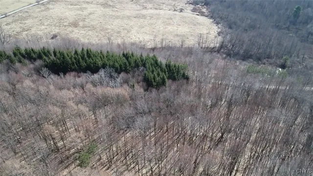 $91,900 | 50 Buchanan Road, Sanford, NY 13865