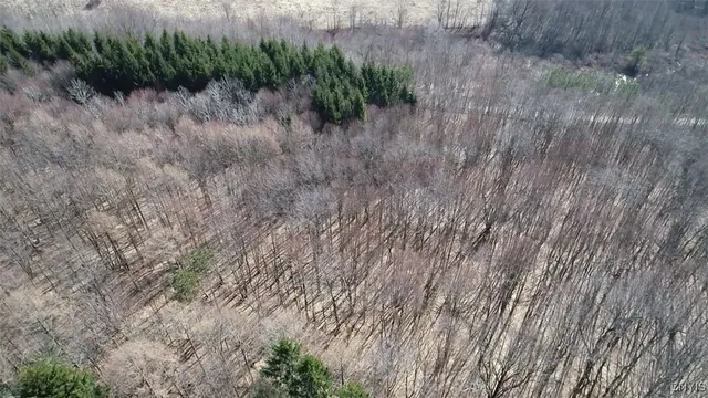 $91,900 | 50 Buchanan Road, Sanford, NY 13865