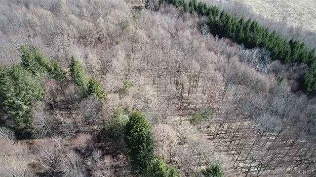 $91,900 | 50 Buchanan Road, Sanford, NY 13865